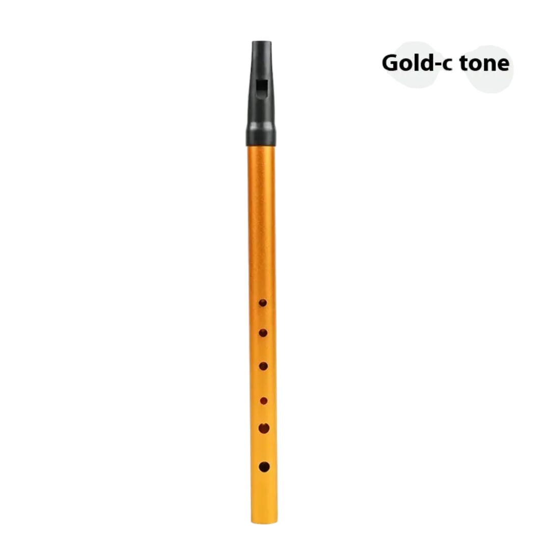 Beginner Kids Flute Party Favor – 6-hole Irish metal whistle in C-D key, ideal for music learning, parties, and gifting, available at Giggly Groves
