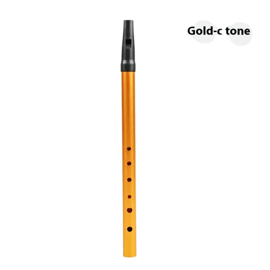 Beginner Kids Flute Party Favor – 6-hole Irish metal whistle in C-D key, ideal for music learning, parties, and gifting, available at Giggly Groves