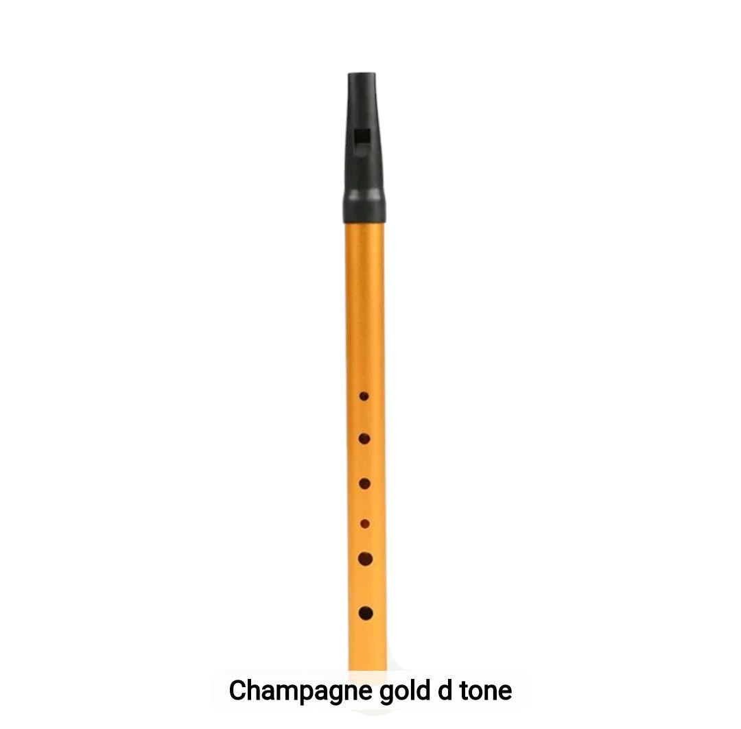 Beginner Kids Flute Party Favor – 6-hole Irish metal whistle in C-D key, ideal for music learning, parties, and gifting, available at Giggly Groves
