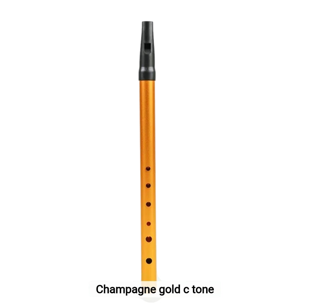 Beginner Kids Flute Party Favor – 6-hole Irish metal whistle in C-D key, ideal for music learning, parties, and gifting, available at Giggly Groves