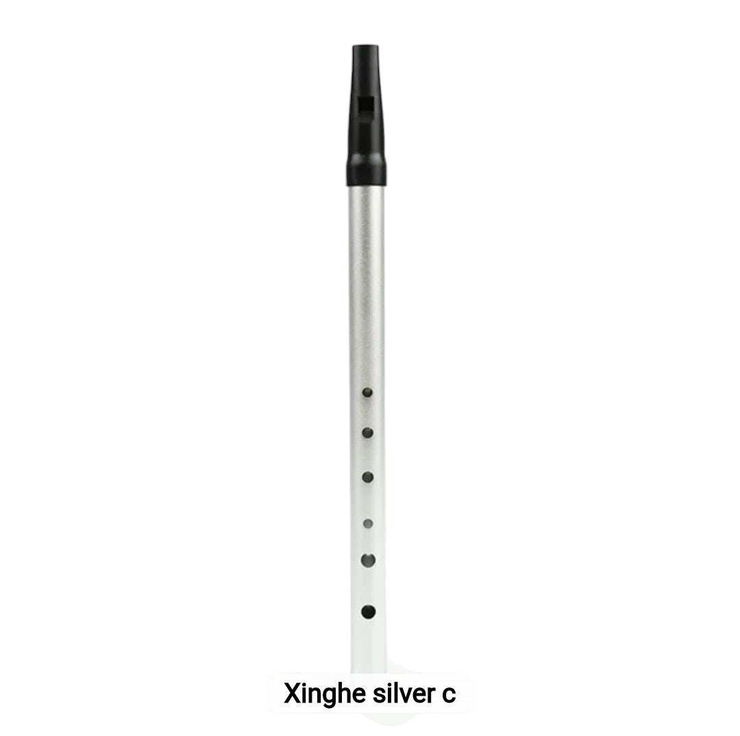 Beginner Kids Flute Party Favor – 6-hole Irish metal whistle in C-D key, ideal for music learning, parties, and gifting, available at Giggly Groves