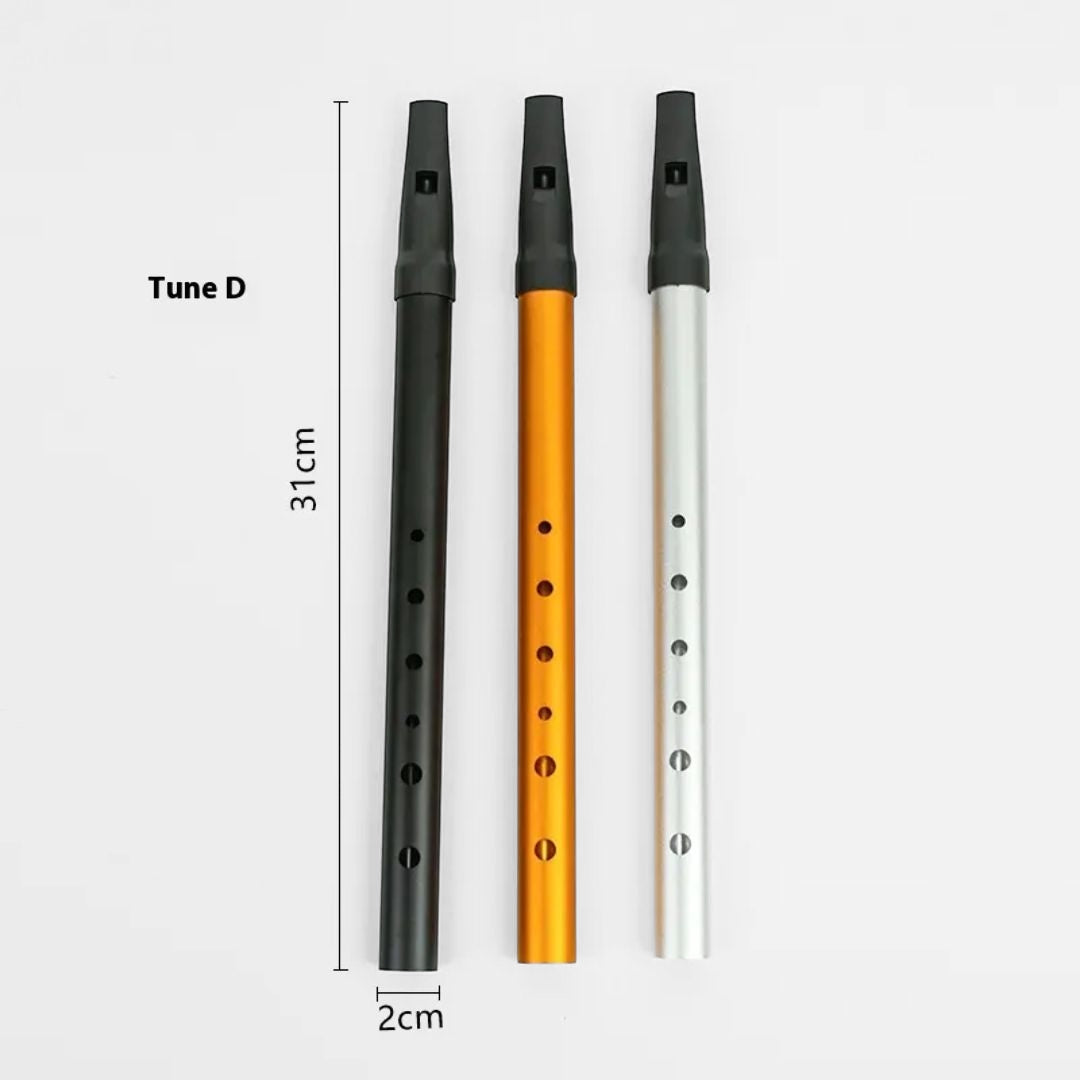 Beginner Kids Flute Party Favor – 6-hole Irish metal whistle in C-D key, ideal for music learning, parties, and gifting, available at Giggly Groves0