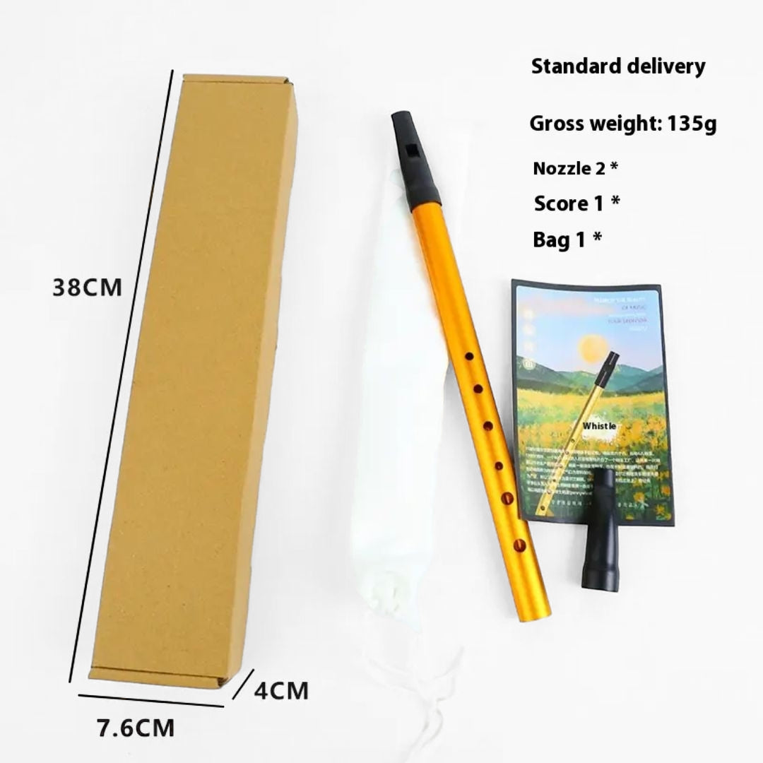 Beginner Kids Flute Party Favor – 6-hole Irish metal whistle in C-D key, ideal for music learning, parties, and gifting, available at Giggly Groves