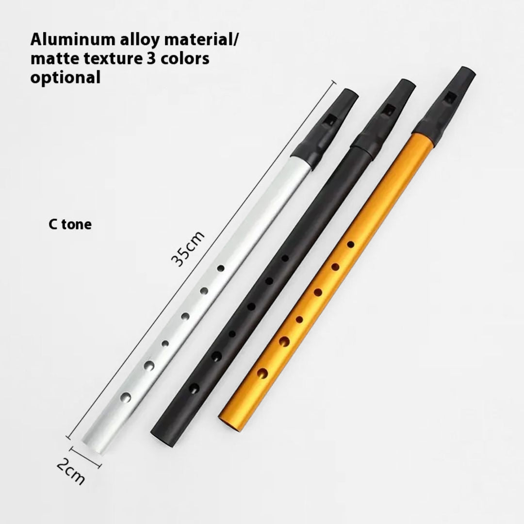 Beginner Kids Flute Party Favor – 6-hole Irish metal whistle in C-D key, ideal for music learning, parties, and gifting, available at Giggly Groves